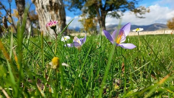 Dağlar gözəli Şuşanın payız mənzərələri - FOTO