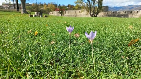 Dağlar gözəli Şuşanın payız mənzərələri - FOTO