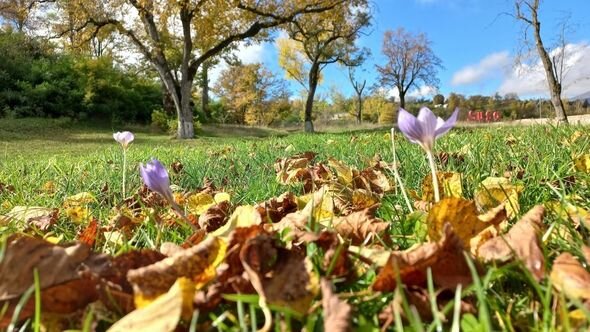 Dağlar gözəli Şuşanın payız mənzərələri - FOTO