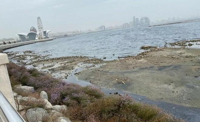 Xəzərin səviyyəsinin düşməsi limanlara ziyan vuracaq - VİDEO