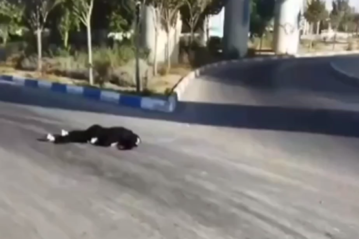 İranda DƏHŞƏT: Əxlaq polisinə dözməyib intihar etdi - VİDEO