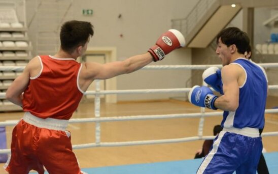 Boks üzrə Azərbaycan çempionatının qalibləri bəlli olub
