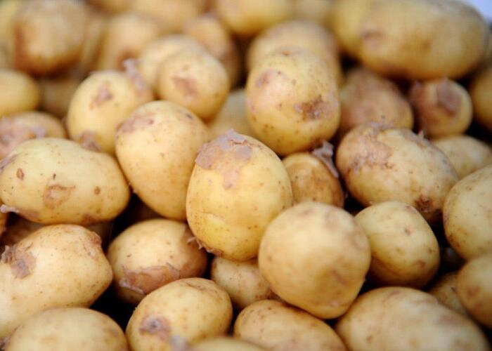 Azərbaycanda kartofun qiyməti enəcək? - AÇIQLAMA