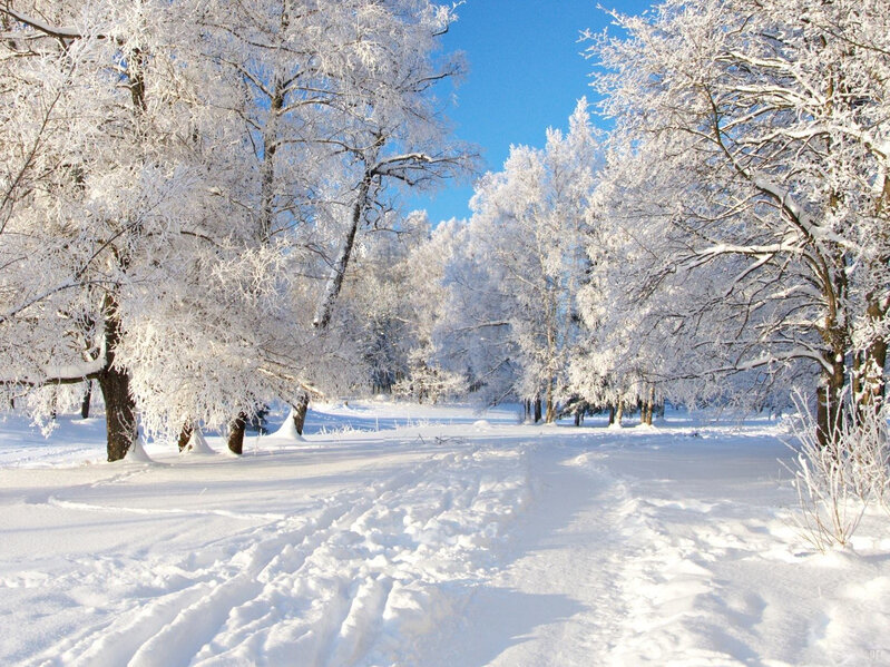 Sabah Azərbaycanın bu ərazilərinə qar yağacaq
