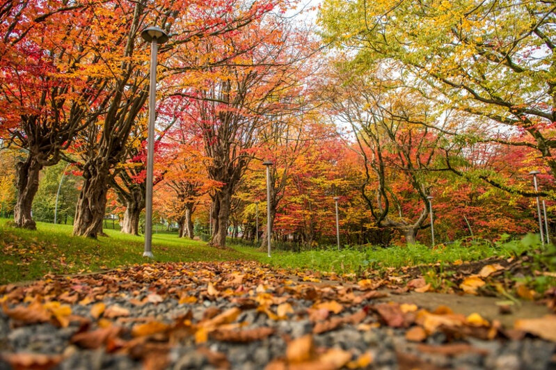 Sabah 20° isti olacaq - Hava proqnozu