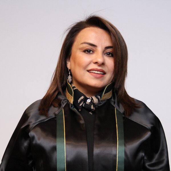 Azərbaycanda məhkəmələrə əlçatanlıq təmin olunub - RƏYLƏR