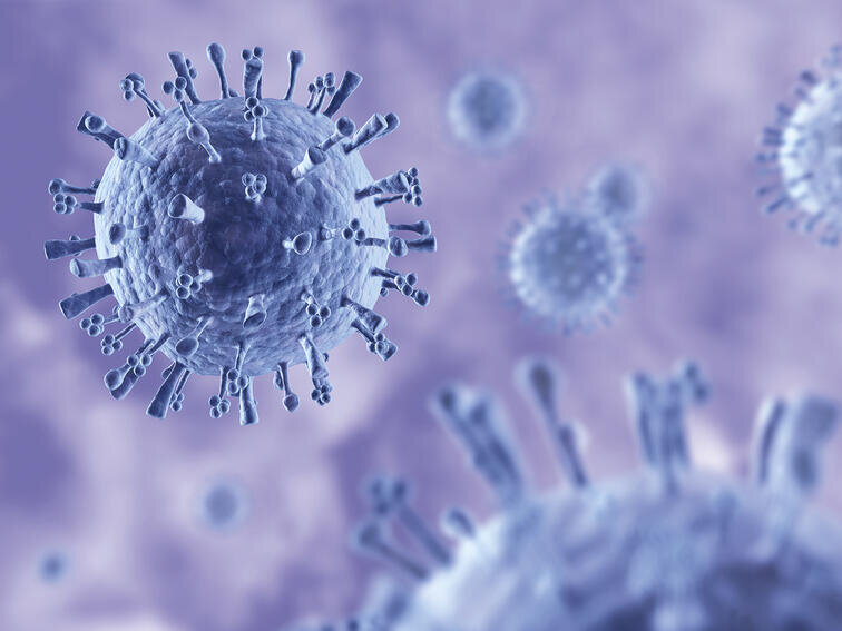 Professordan xəbərdarlıq: "Azərbaycanda donuz qripi yayıla bilər" - FOTO