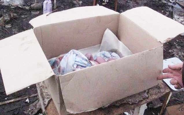 Dünyaya gətirdin və atdın... - Bəs cəzası nədir?