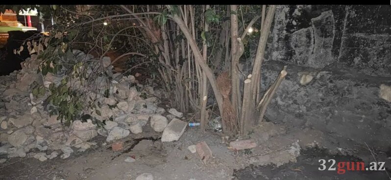 Bacısına güvənən məşhur həkim rayonda "yaşıl terror" törətdi - Qardaşına havadar olan icra başçısının müavini