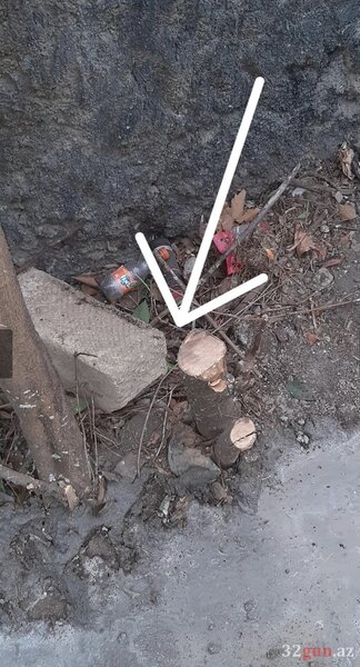 Bacısına güvənən məşhur həkim rayonda "yaşıl terror" törətdi - Qardaşına havadar olan icra başçısının müavini