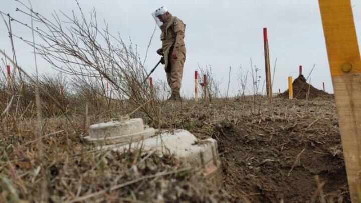 "Bu il üçün təmizlənməli olan 50 min hektar ərazi müəyyən edilib" - ANAMA