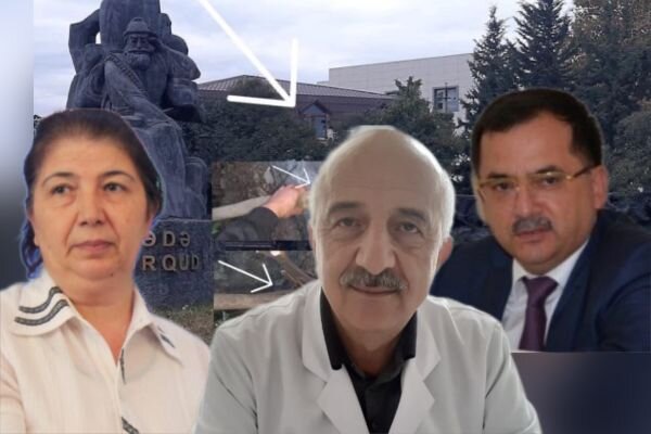 Bacısına güvənən məşhur həkim rayonda "yaşıl terror" törətdi - Qardaşına havadar olan icra başçısının müavini