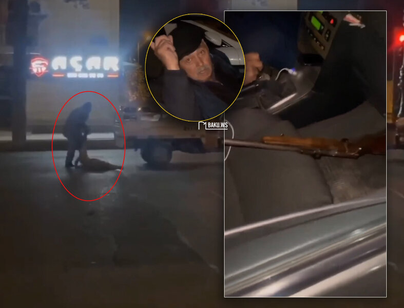 Azərbaycanda kişi küçədə itləri güllələyib? - DİN-dən AÇIQLAMA + VİDEO