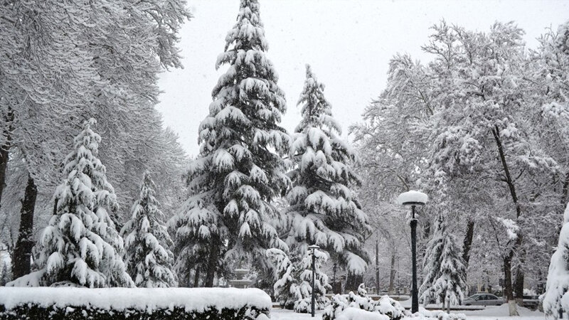 Bu rayonlara qar yağdı - FAKTİKİ HAVA