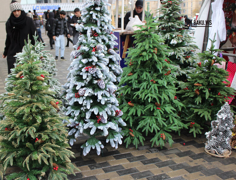 Bakıda yolkalar neçəyə satılır? - QİYMƏTLƏR - VİDEO