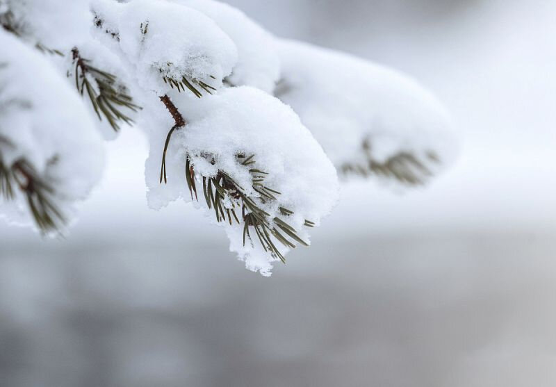 Sabah Azərbaycanın bu ərazilərinə QAR YAĞACAQ - XƏBƏRDARLIQ