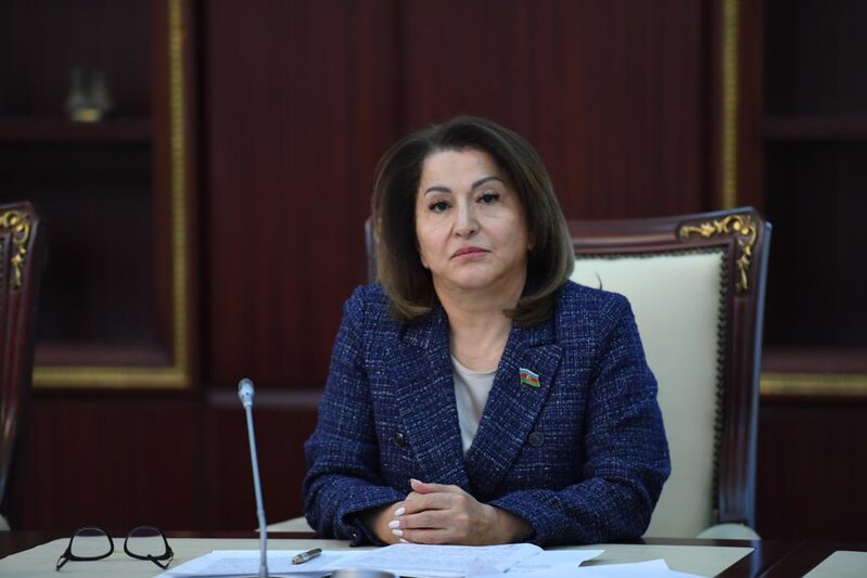 "Azərbaycan bu gün beynəlxalq proseslərə istiqamət verən və beynəlxalq aləmdə öz sözün deyən ölkədir" - Deputatla MÜSAHİBƏ