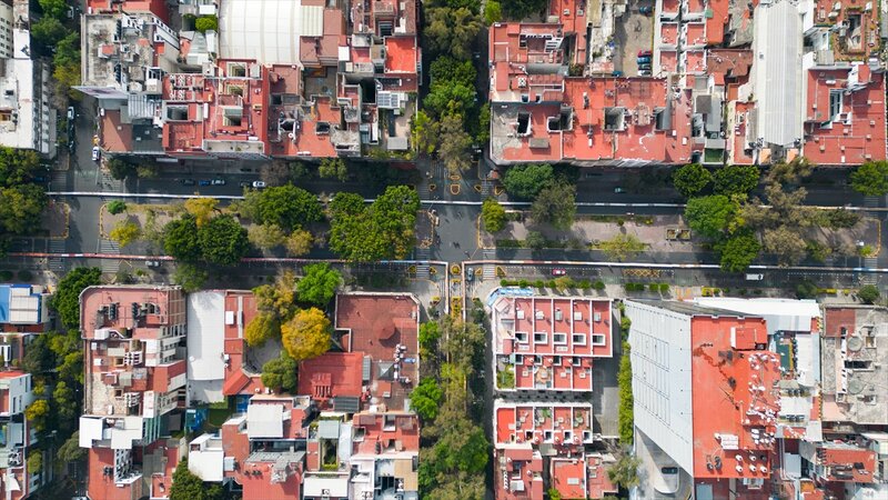Bişirdikləri ilə Ginnesin Rekordlar kitabına düşdülər - Fotolar