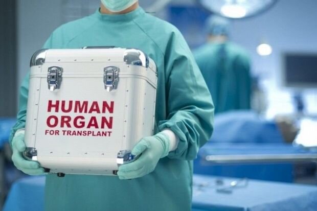 Şəxsin ölümündən sonra orqanlarının bağışlanması ilə bağlı razılıq ərizəsinin forması təsdiqlənib