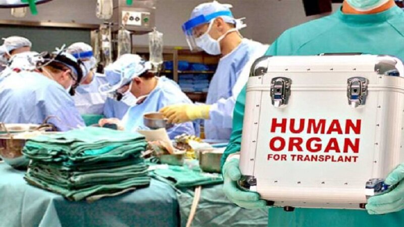 Şəxsin ölümündən sonra orqanlarının götürülməsi prosesi belə olacaq (VİDEO)