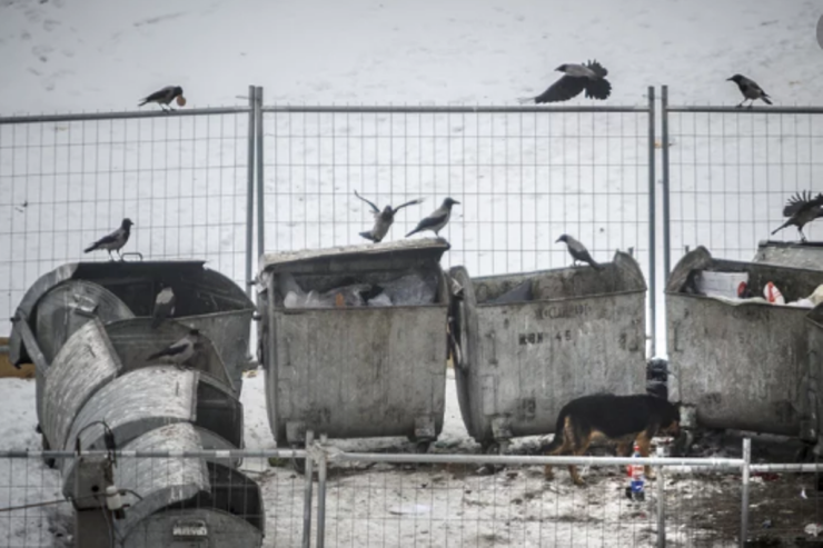 Atasını öldürüb cəsədini zibil qutusuna atdı