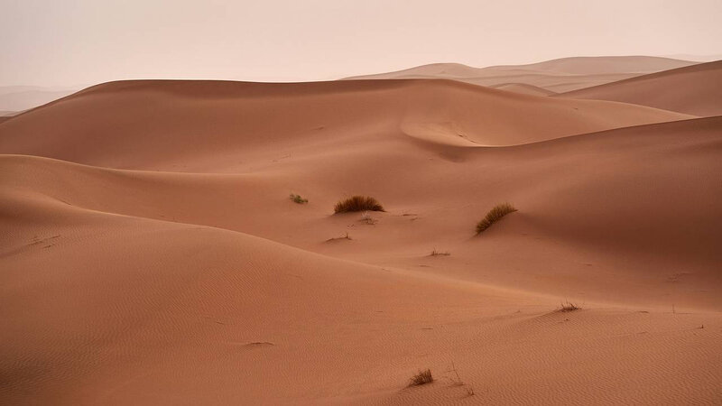 Dünyada ən qədim insan izlərindən biri tapılıb