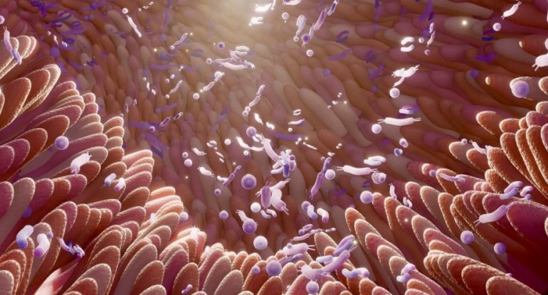 Uşaqlardakı allergiyanın mənbəyi bilindi