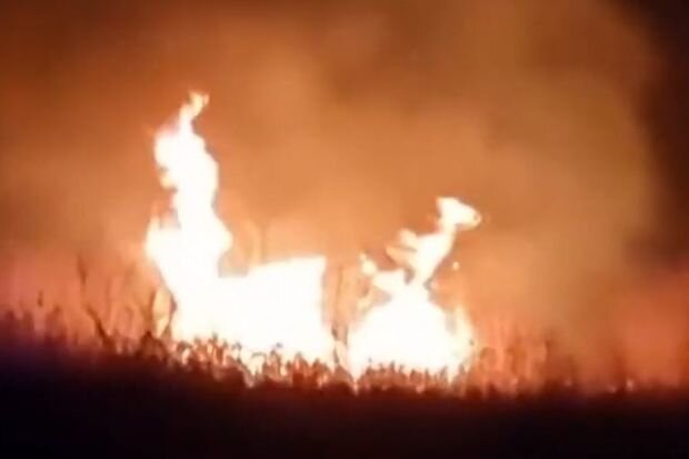 Samuxda bir hektar ərazi yanıb - VİDEO