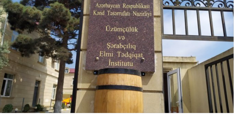 Üzümçülük və Şərabçılıq Elmi-Təqdiqat İnstitutunda 65 minlik şübhəli satınalma: Qalib MMC-lər kimindir?