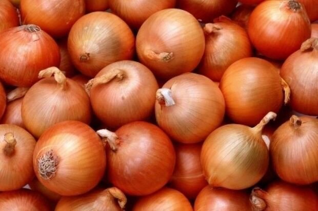 Bakıda qiyməti "ceyran belində" olan soğan rayonlarda anbarlarda məhv olur... - VİDEO