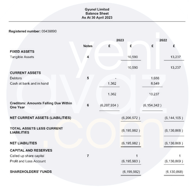 Elman Rüstəmovun qızının Londondakı şirkəti 13,3 milyon zərər edib – Fotofakt