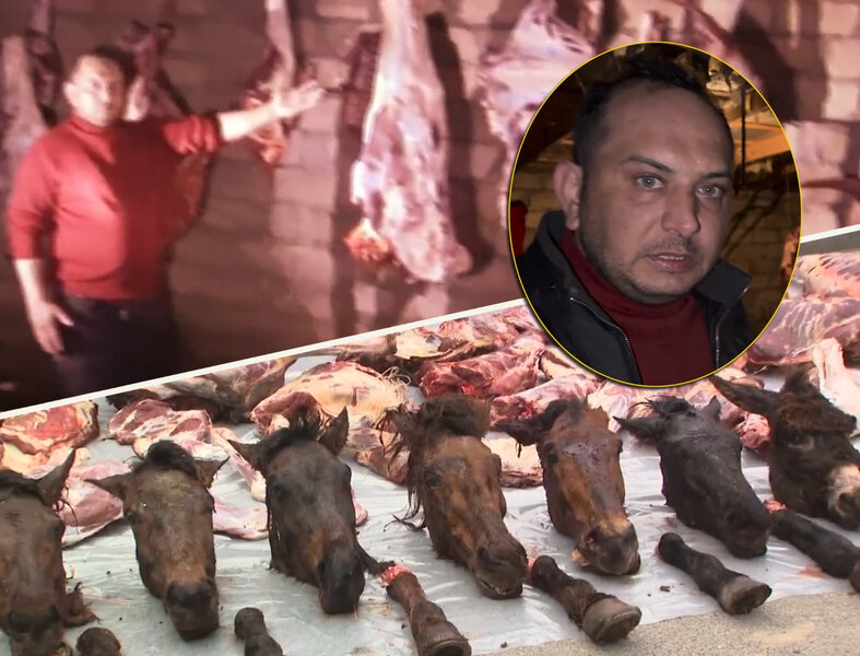 Polis ölü at və eşşək əti satan şəxsi ƏLƏ KEÇİRDİ - VİDEO
