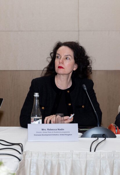 Tahir Gözelin təşəbbüsü ilə "Orta Dəhlizin yaşıllaşdırılması" mövzusunda işgüzar toplantı keçirilib