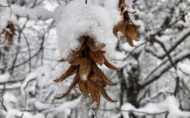 Avropanın ən bahalı oyunçularının simvolik komandası - SİYAHI