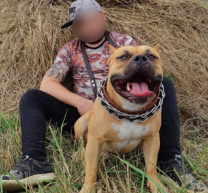 Ata qızlarını güllələyib intihar etdi