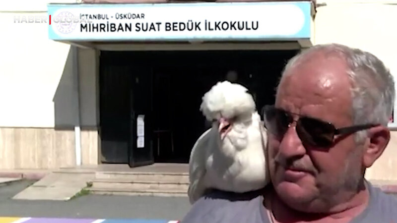 İstanbulda seçici məntəqədə özü ilə gətirdiyi toyuqla səs verdi - VİDEO