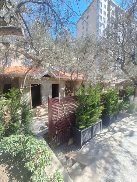 Xaraba günə qoyulan BİNƏQƏDİ... - Kölgələnməyə ağac qoymayacaqlar...