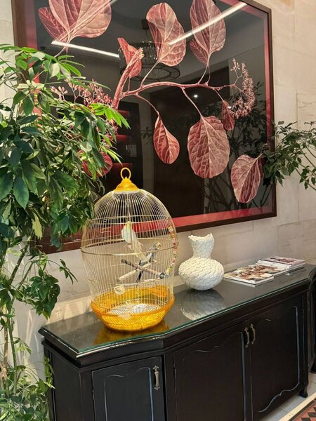 Aydanın ad günündə iştirak etmək üçün Bakıya gəldi - Fotolar