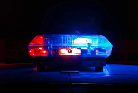 Polis axtarışa verilən şəxsin keçəl fotosunu yaydı, cinayətkar etiraz etdi