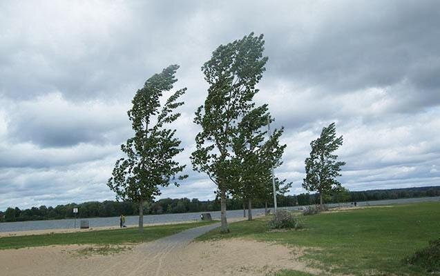 Faktiki hava: Bakı və Abşeronda küləyin sürəti artıb