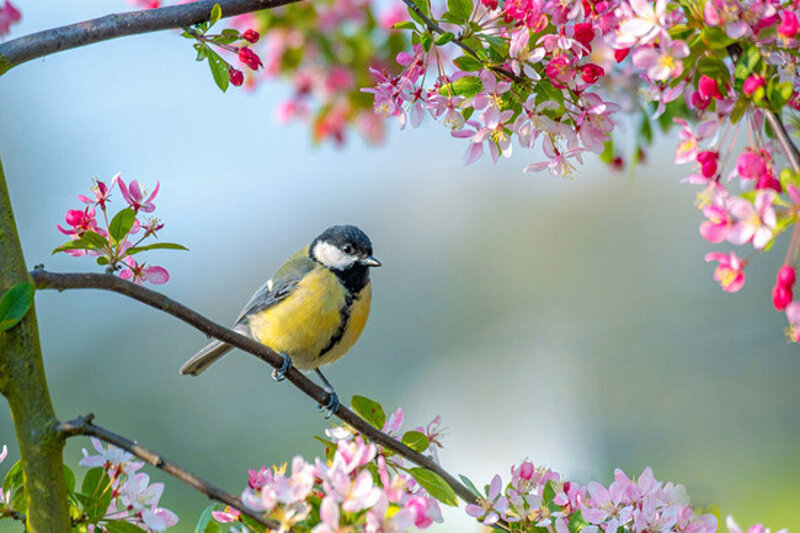 Sabah 28 dərəcə isti olacaq