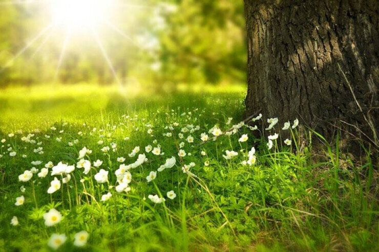 Sabah 31 dərəcə isti olacaq