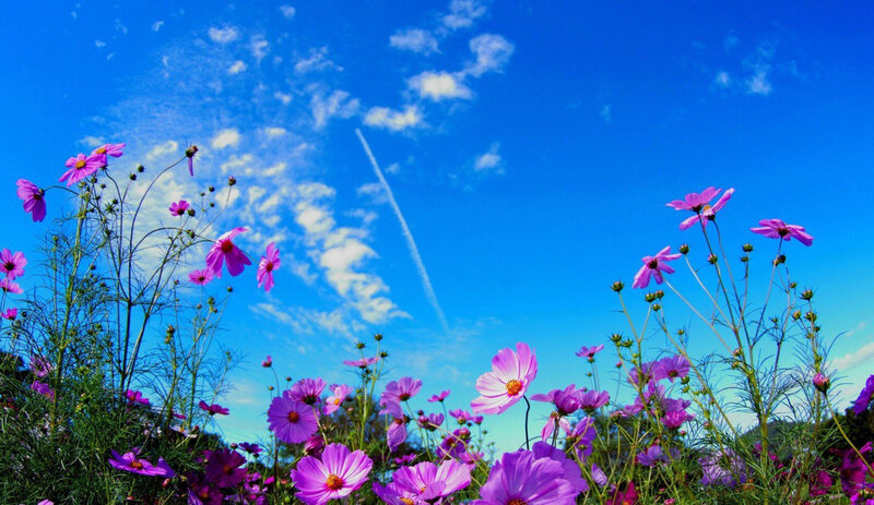 Sabah 31 dərəcə isti olacaq