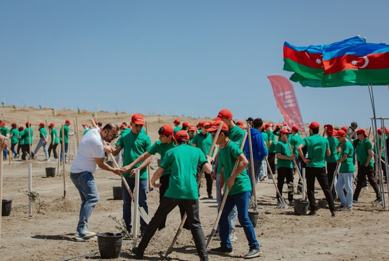 "McDonald's Azərbaycan" internat məktəblərinin şagirdləri ilə birlikdə ağacəkmə aksiyası keçirib – FOTO