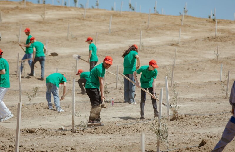 "McDonald's Azərbaycan" internat məktəblərinin şagirdləri ilə birlikdə ağacəkmə aksiyası keçirib – FOTO