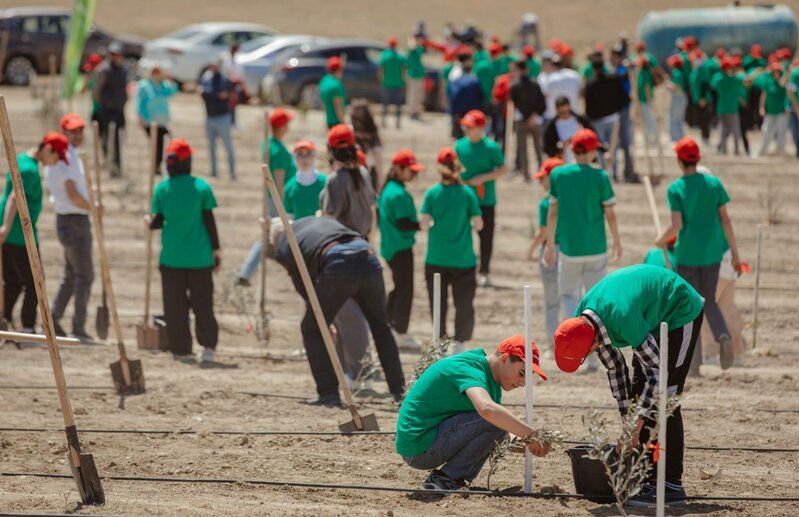 "McDonald's Azərbaycan" internat məktəblərinin şagirdləri ilə birlikdə ağacəkmə aksiyası keçirib – FOTO