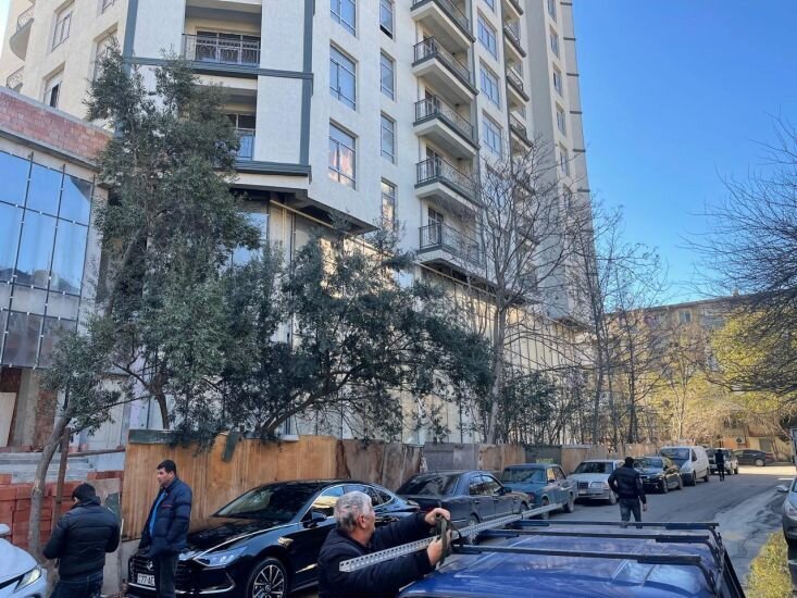 Nərimanovda COP29 öncəsi ağaclar məhv edildi - Fotolar