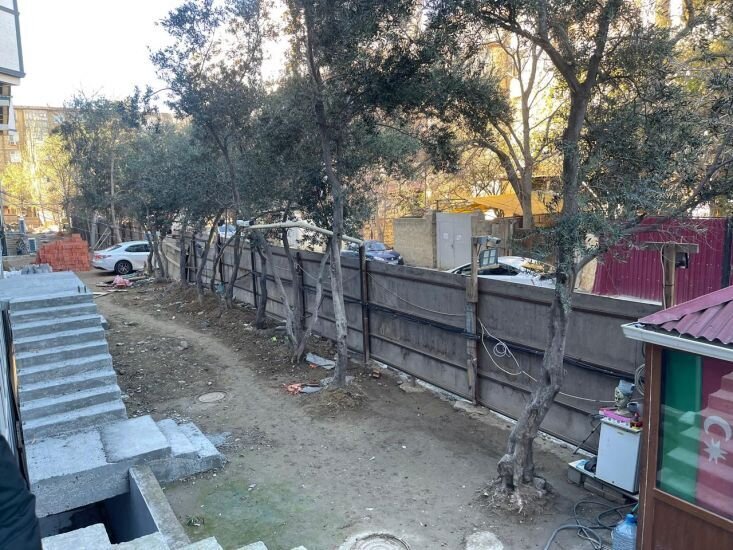 Nərimanovda COP29 öncəsi ağaclar məhv edildi - Fotolar