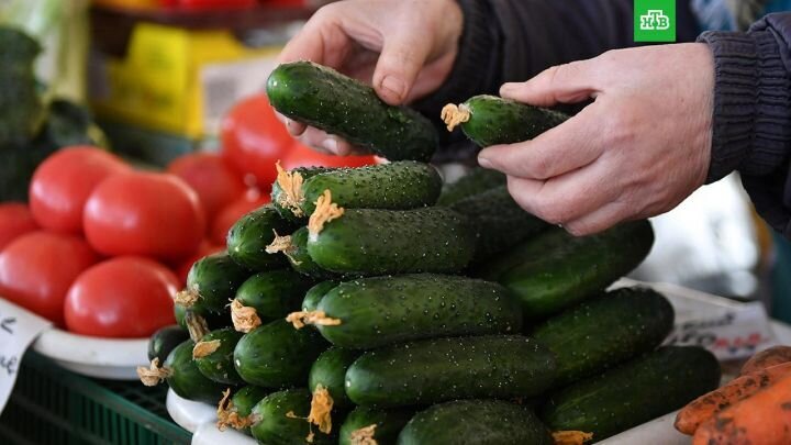 Pomidor-xiyar bu tarixdən sonra UCUZLAŞACAQ - AÇIQLAMA