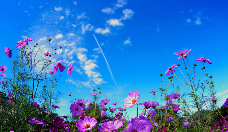 Sabah hava necə olacaq?